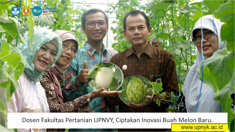 Dosen Fakultas Pertanian UPNVY, Ciptakan Inovasi Buah Melon Baru.